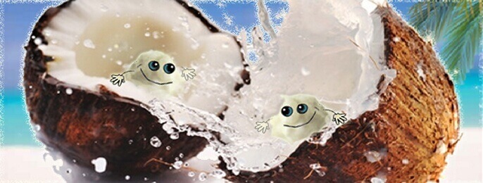 coconut kefir