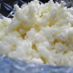 kefir-grains