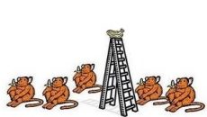 5 monkeys and ladder experiment