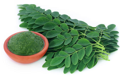 Moringa-Leaves