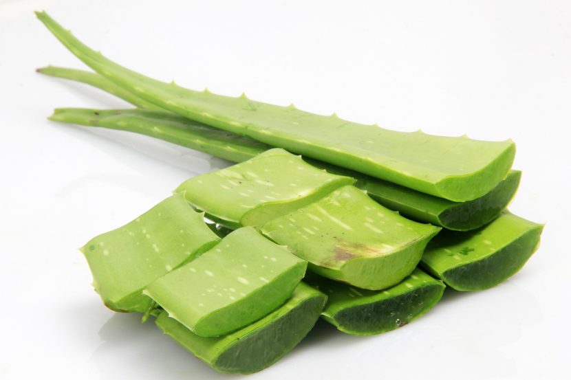 aloe-vera