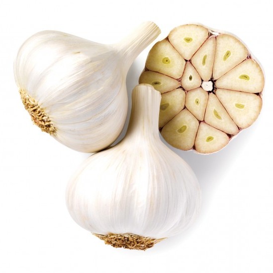 garlic