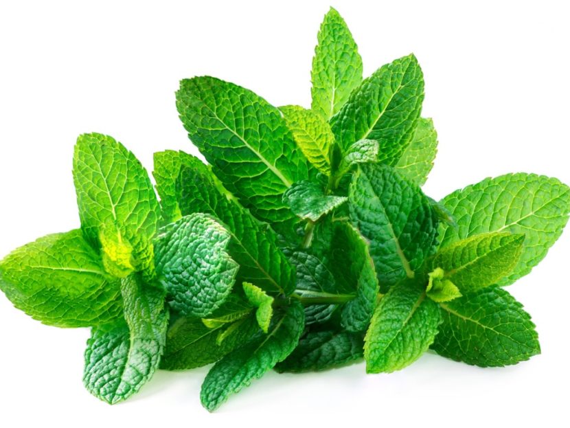 herbs